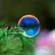 Warhead